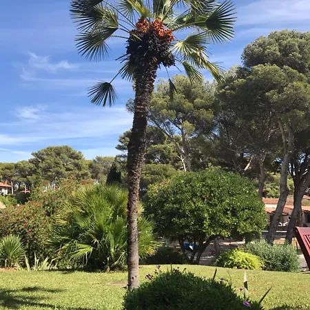 Apartment T2 Rez De Jardin Piscines Vue Parking Terrasse Commerces Six-Fours-les-Plages